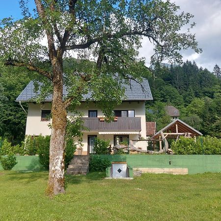Apartmaji Katrc Soča المظهر الخارجي الصورة
