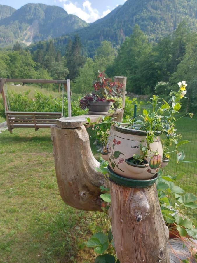 Apartmaji Katrc Soča المظهر الخارجي الصورة