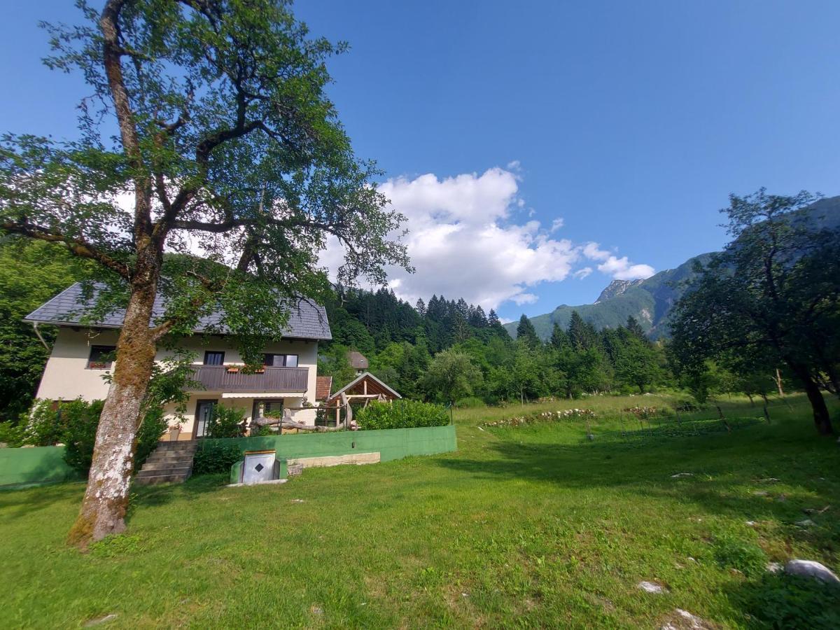 Apartmaji Katrc Soča المظهر الخارجي الصورة