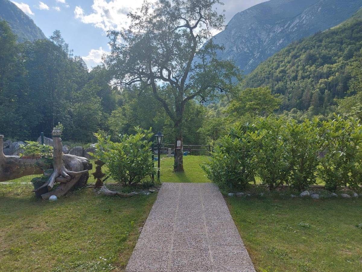 Apartmaji Katrc Soča المظهر الخارجي الصورة