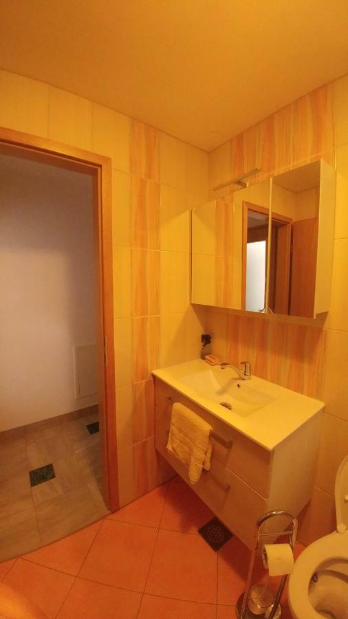 Apartmaji Katrc Soča المظهر الخارجي الصورة