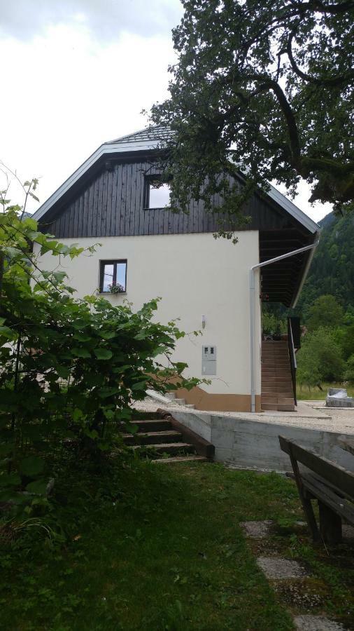 Apartmaji Katrc Soča المظهر الخارجي الصورة