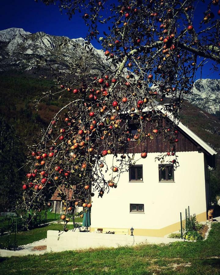Apartmaji Katrc Soča المظهر الخارجي الصورة